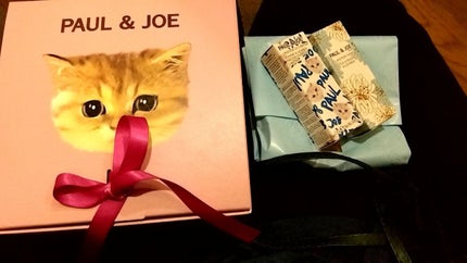 リップスティック/PAUL & JOE BEAUTE/口紅を使ったクチコミ(2枚目)