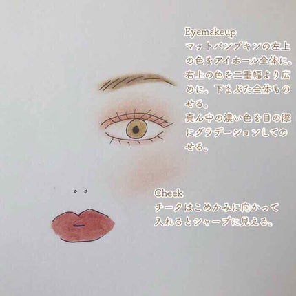 マットフルールチークス/キャンメイク/パウダーチークを使ったクチコミ(2枚目)