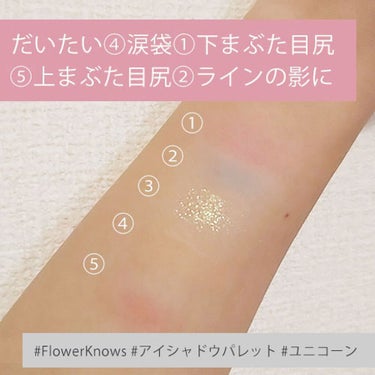 ユニコーンシリーズ アイシャドウパレット/FlowerKnows/パウダーアイシャドウを使ったクチコミ（3枚目）