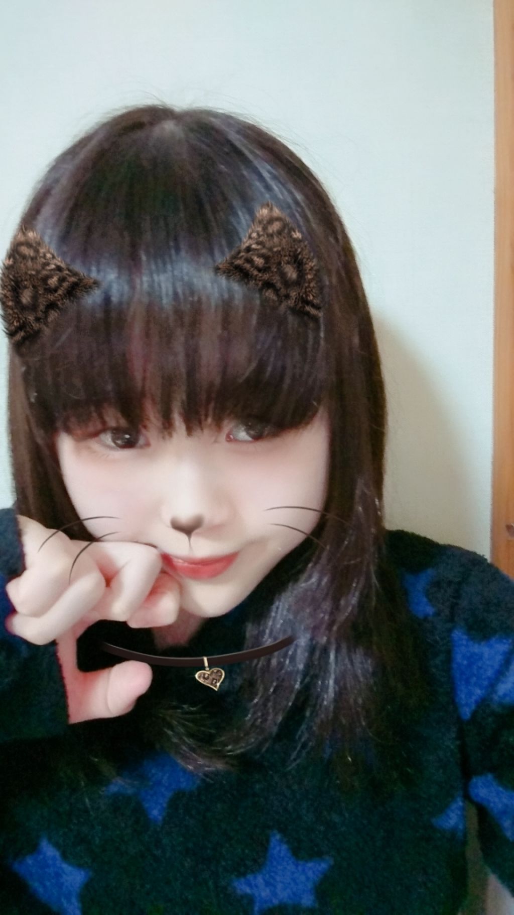 グロウフルールチークス/キャンメイク/パウダーチークを使ったクチコミ（1枚目）