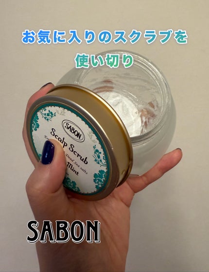 ヘッドスクラブ リフレッシング(ミント)/SABON/ヘッドスクラブを使ったクチコミ(1枚目)