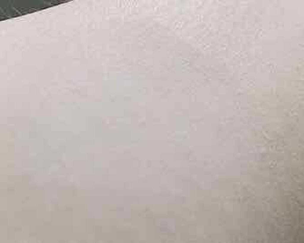 スタインズ ピンクプライマー II/シーヴァ/化粧下地を使ったクチコミ(4枚目)