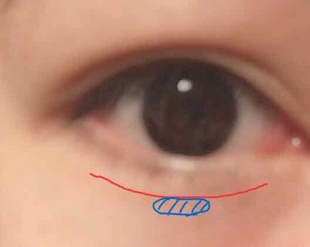 パウダーアイブロウ&3Dノーズ/ヘビーローテーション/パウダーアイブロウを使ったクチコミ(2枚目)