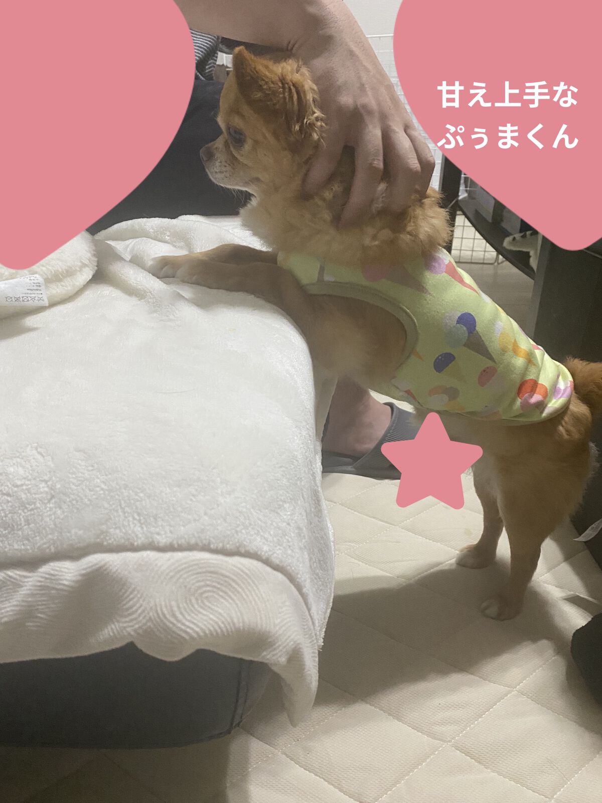 スナイデル パフュームド ヘア ミスト In Bloom/SNIDEL BEAUTY/ヘアミストを使ったクチコミ（3枚目）