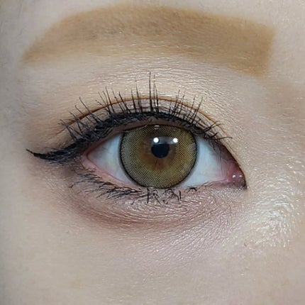 GAL NEVER DIE 1Day NEVER DIE (ネバーダイ) /GAL NEVER DIE/ワンデー(1DAY)カラコンの画像