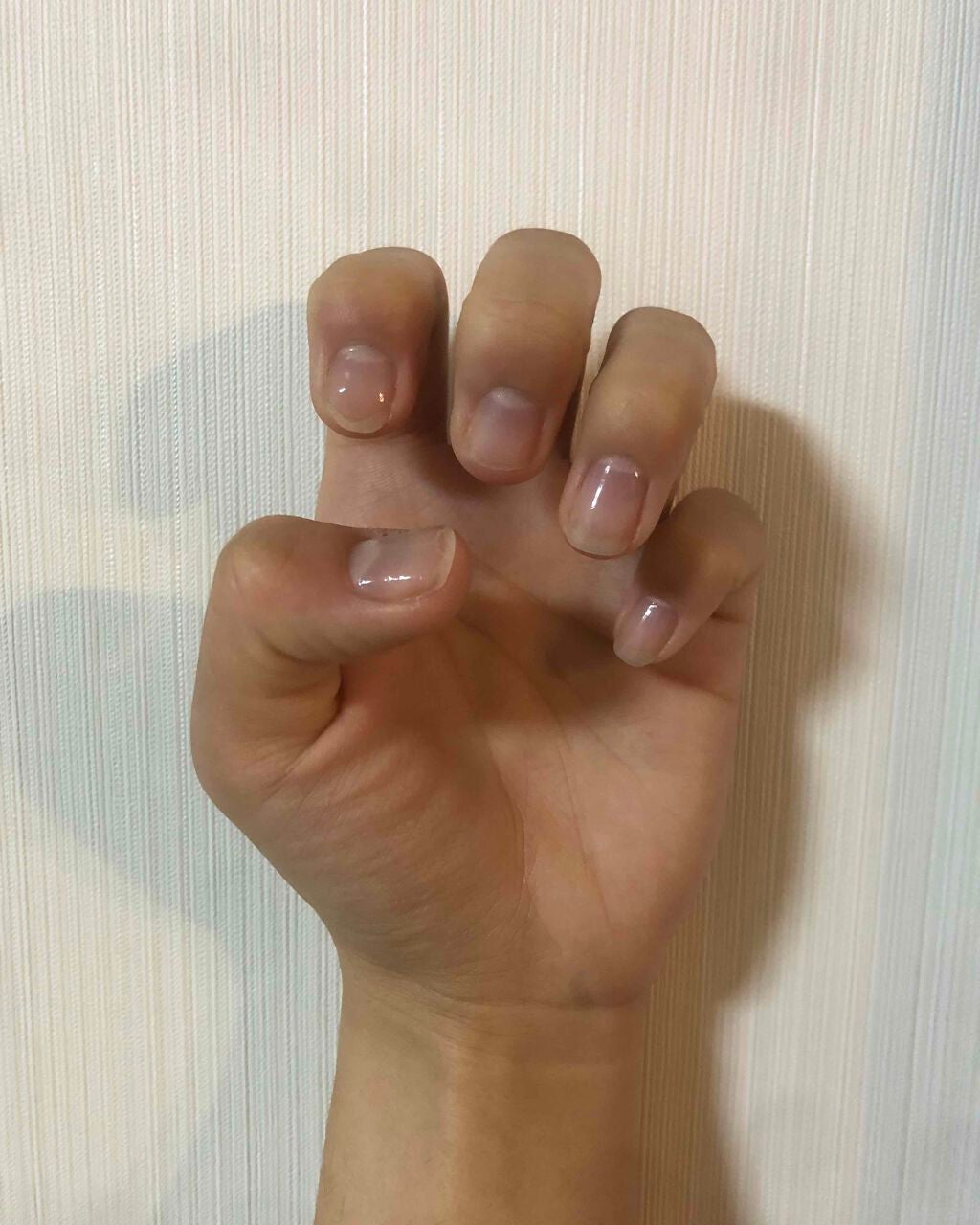 アンティセプト/LCN/ネイルオイル・トリートメントを使ったクチコミ(1枚目)