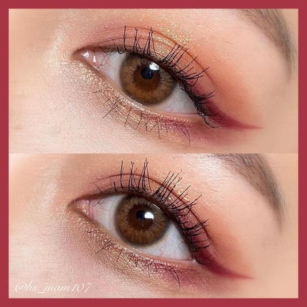 エクスプローラ12色 動物アイシャドウパレット/PERFECT DIARY/アイシャドウパレットを使ったクチコミ(4枚目)