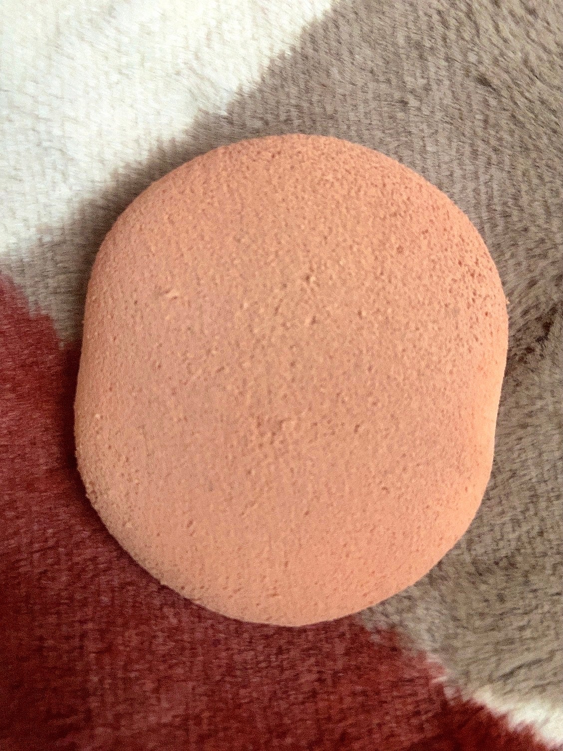 エバーソフト/Canon/パフ・スポンジを使ったクチコミ(2枚目)