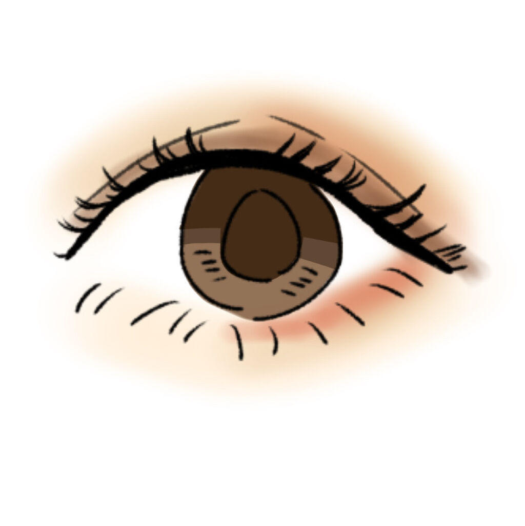 パーフェクトマルチアイズ/キャンメイク/アイシャドウパレットを使ったクチコミ（3枚目）