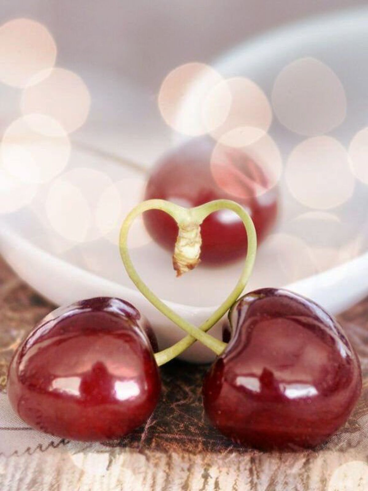 love ねこ on LIPS 「寒波。彡彡彡彡彡寒すぎてなかなか仕事のスイッチが入りません(๑..」(5枚目)