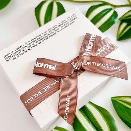 Vegan Jumbo Peppermint Lip Balm/Factory Normal/リップバームを使ったクチコミ(7枚目)