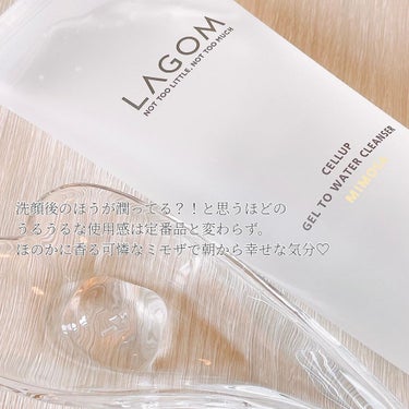 サンジェル プラス SPF50+ PA++++/LAGOM /日焼け止め・UVケアを使ったクチコミ（3枚目）