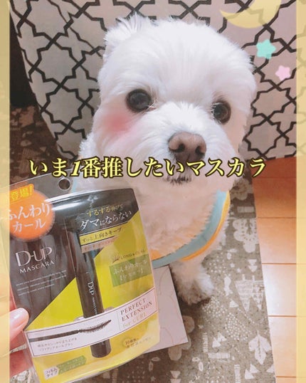 パーフェクトエクステンション マスカラ for カール/D-UP/マスカラを使ったクチコミ(1枚目)