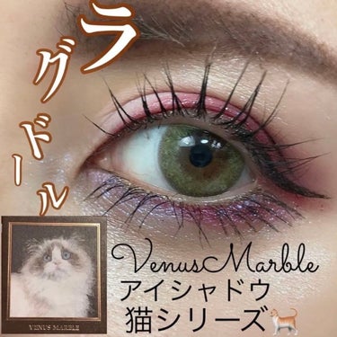 Venus Marble アイシャドウキャットシリーズ/Venus Marble/アイシャドウパレットを使ったクチコミ（9枚目）