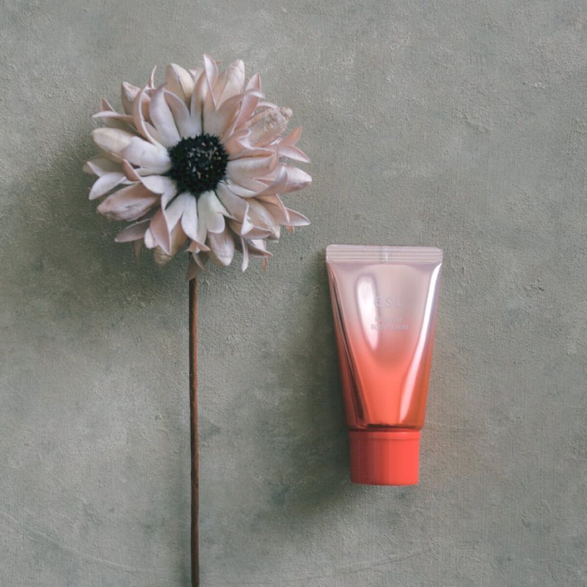 エスト インテンシブ ボディセラム/est/ボディクリームを使ったクチコミ（2枚目）