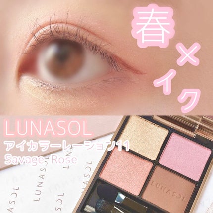 アイカラーレーション/LUNASOL/アイシャドウパレットを使ったクチコミ(1枚目)