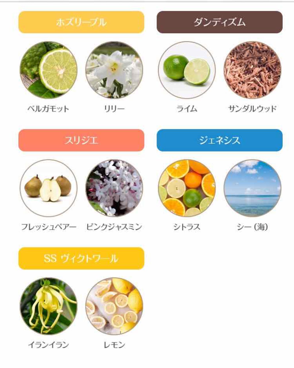 アンクオリジナルシャンプー／トリートメント チェリーツインズ/アンクオリジナル/シャンプー・コンディショナーを使ったクチコミ（3枚目）