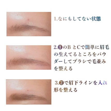 ヴィセ リシェ アイブロウパウダー/Visée/パウダーアイブロウを使ったクチコミ(4枚目)