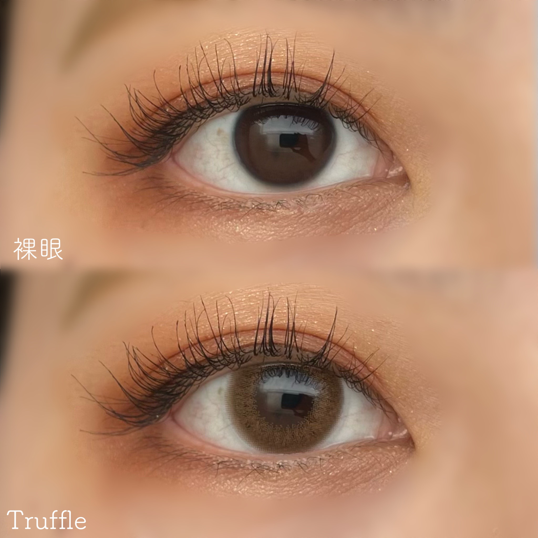 HARNE 1day/HARNE/ワンデー（１DAY）カラコンを使ったクチコミ（3枚目）