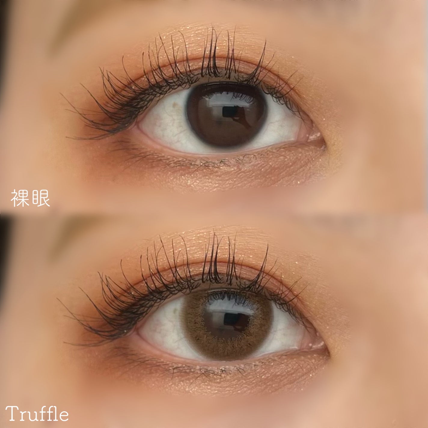 HARNE 1day/HARNE/ワンデー(1DAY)カラコンを使ったクチコミ(3枚目)