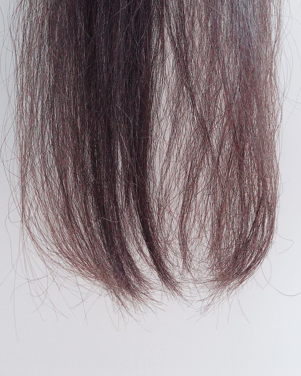 ミルキーヘアカラー プレミアムベージュ/フレッシュライト/ヘアカラーを使ったクチコミ（3枚目）