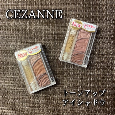 トーンアップアイシャドウ/CEZANNE/アイシャドウパレットを使ったクチコミ（1枚目）