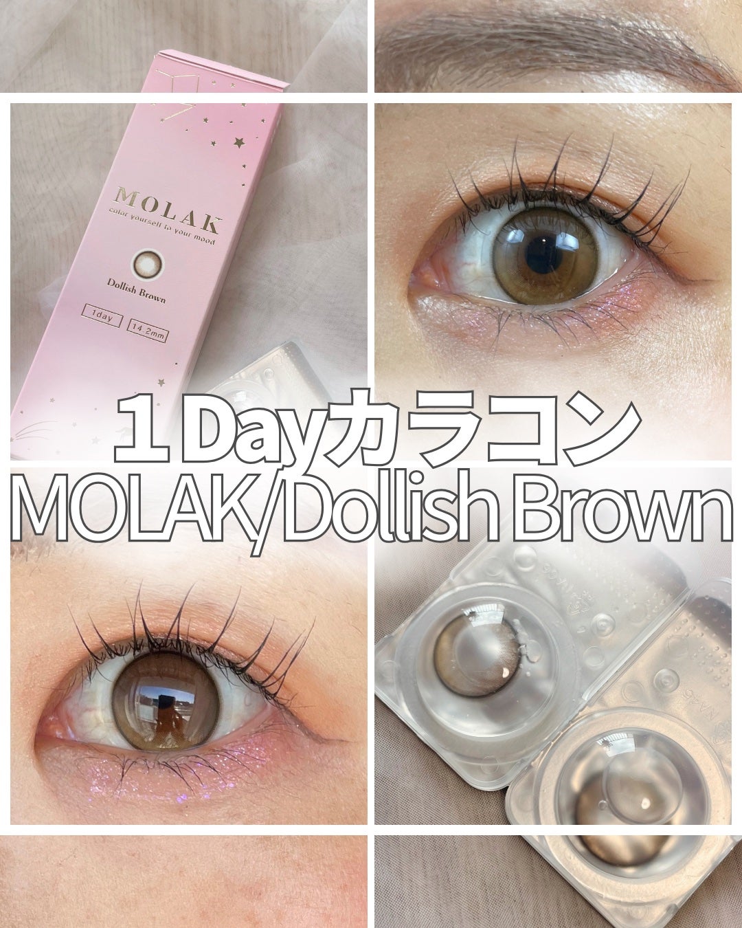 MOLAK 1day/MOLAK/ワンデー(1DAY)カラコンを使ったクチコミ(1枚目)