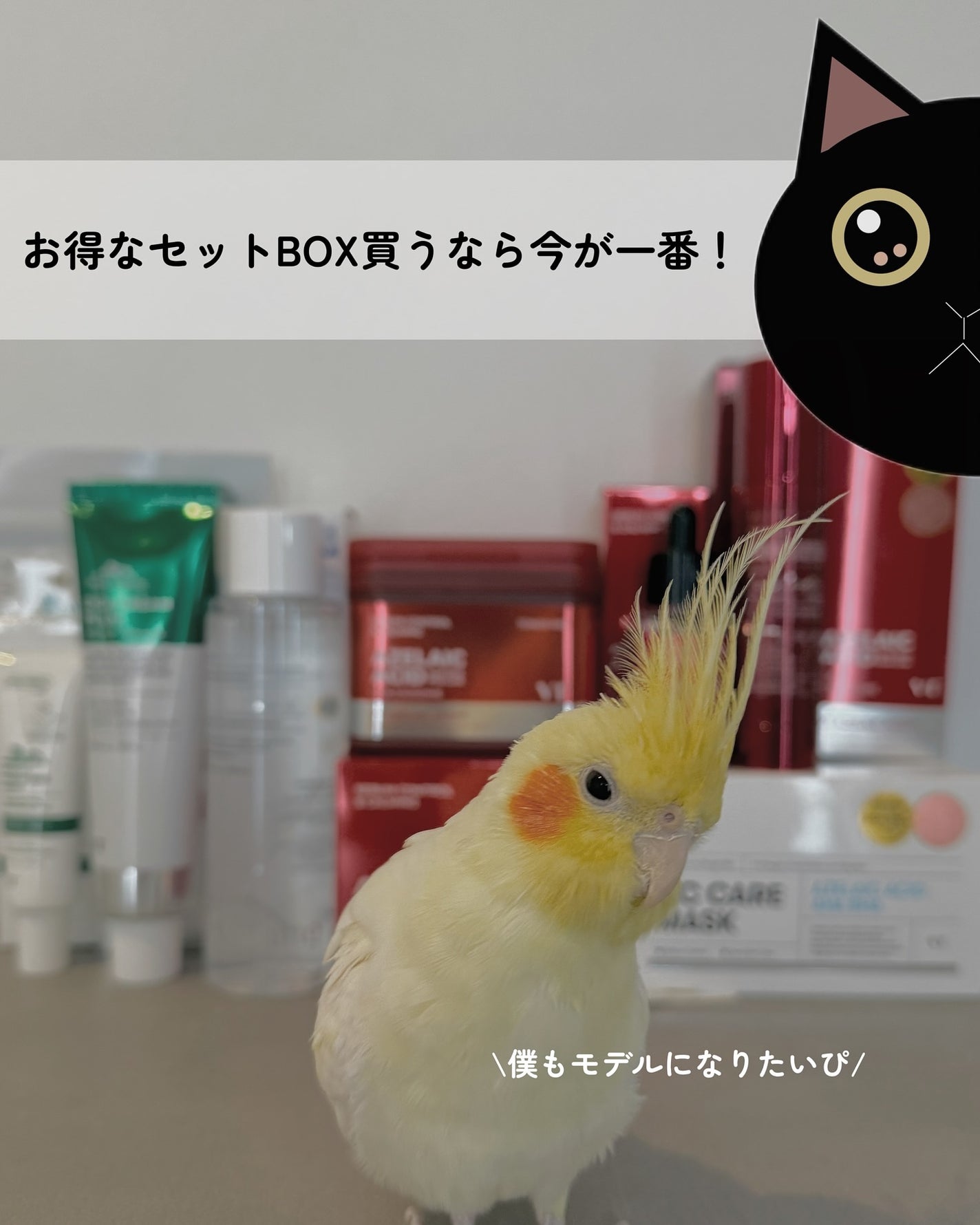 kotori_フォロバ100! on LIPS 「アンバサダー⸜❤︎⸝**┈┈┈┈┈┈**VTお悩みニャンでも解..」(7枚目)