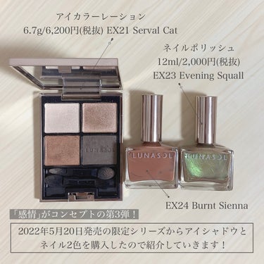 ルナソル ネイルポリッシュ EX24 Burnt Sienna（限定）/LUNASOL/マニキュアを使ったクチコミ（2枚目）