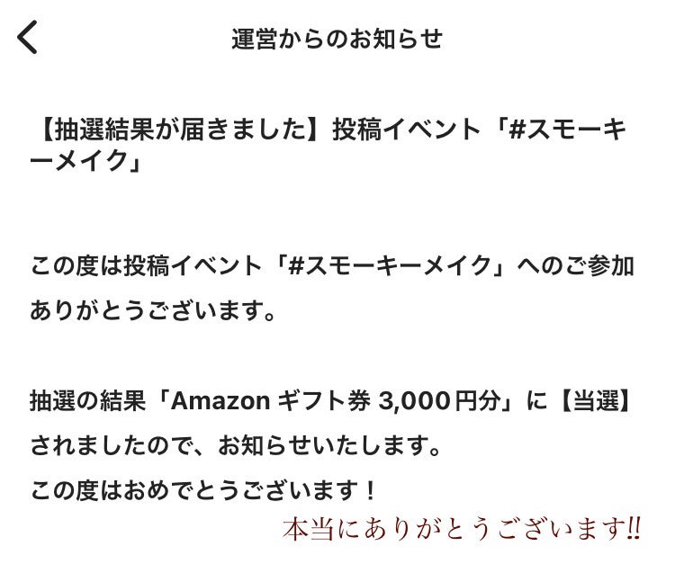 アイシャドウブラシセット/ロージーローザ/メイクブラシを使ったクチコミ(8枚目)