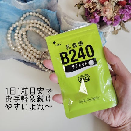 乳酸菌B240/大塚製薬/健康サプリメントを使ったクチコミ(3枚目)