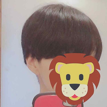 ストレートアイロン VSI-1010/VIDAL SASSOON Pink Series(ヴィダルサスーン ピンクシリーズ)/ストレートアイロンを使ったクチコミ(2枚目)