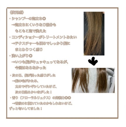 ã¶ãã¥ãŒã㣠髪ã®ãã¡çŸå®¹çŽ é«ªãå®ã ããªã¢ã·ã£ã³ããŒ/ã³ã³ãã£ã·ã§ããŒ/ãšãã»ã³ã·ã£ã«/ã·ã£ã³ããŒã»ã³ã³ãã£ã·ã§ããŒã䜿ã£ãã¯ãã³ãïŒ5æç®ïŒ