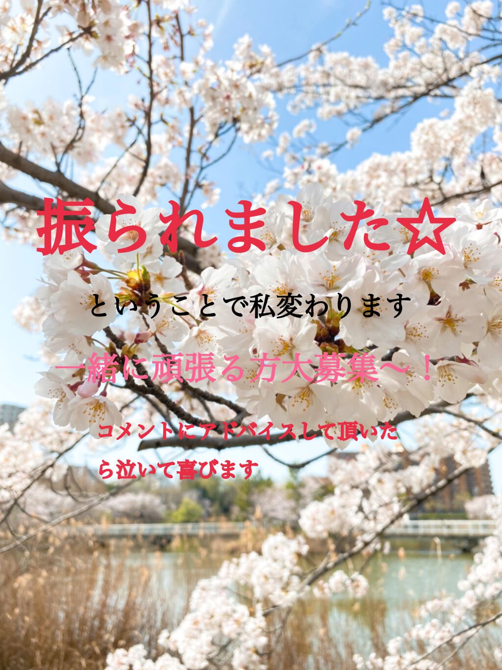 プレミアム ピュア オートミール/ニッショク/オートミールを使ったクチコミ（1枚目）