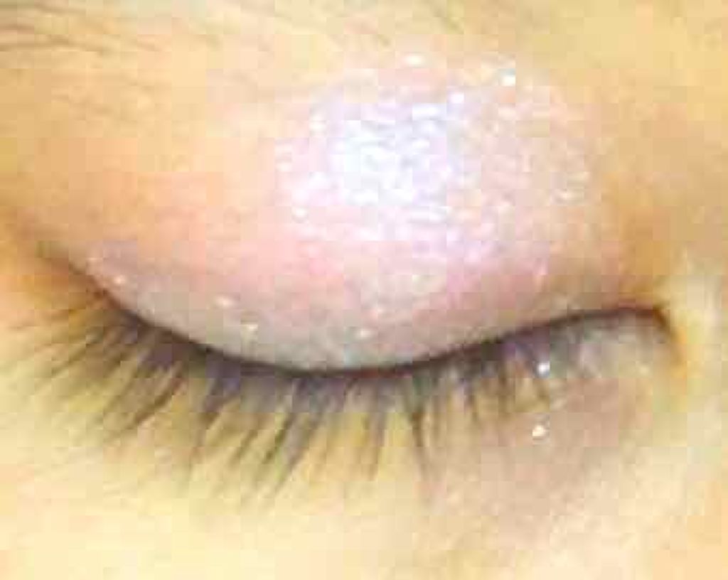 ウィンクグロウアイズ/キャンメイク/ジェル・クリームアイシャドウを使ったクチコミ(2枚目)