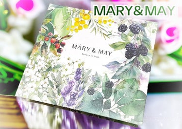 MARY&MAYの２商品が入ったBOX🎁
⁡
スタイルコリアンから提供していただきました♪
⁡
⁡
🌿 マリーアンドメイ イデベノン+ブラックベリーインテンスクリーム 100g
⁡
豊富な栄養感をギュッ