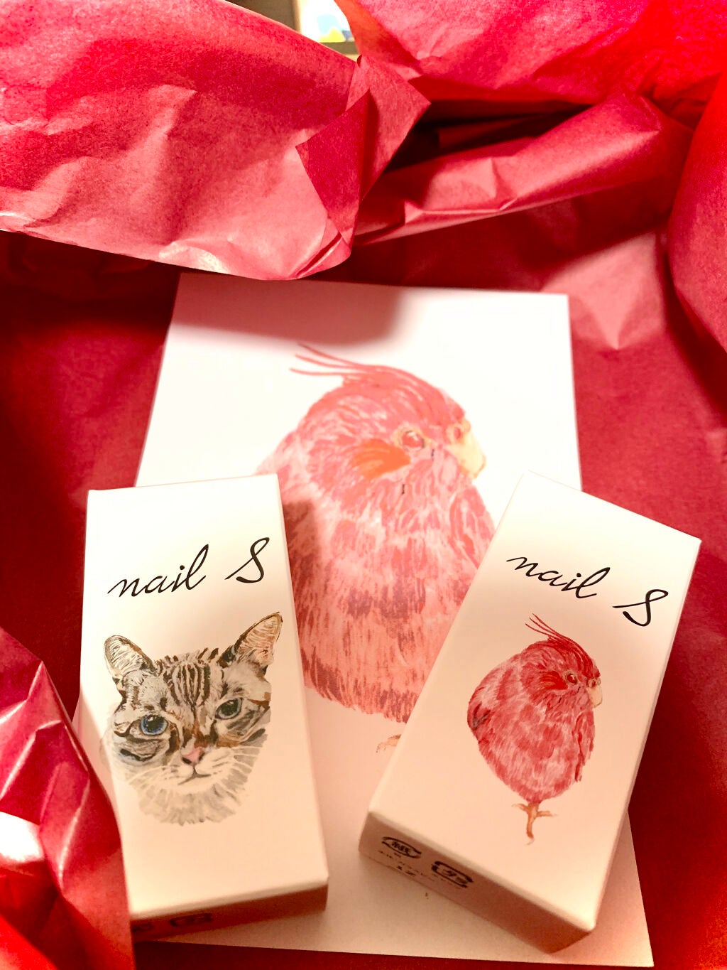 ネイルエス/ nail S(ネイルエス) /マニキュアを使ったクチコミ(4枚目)