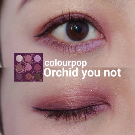 ORCHID you not/ColourPop/アイシャドウパレットを使ったクチコミ(1枚目)