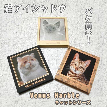 Venus Marble アイシャドウキャットシリーズ ベンガルキャット/Venus Marble/アイシャドウパレットを使ったクチコミ（1枚目）