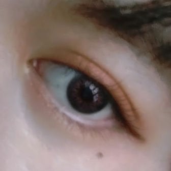 スキニーリッチシャドウ/excel/アイシャドウパレットを使ったクチコミ(5枚目)