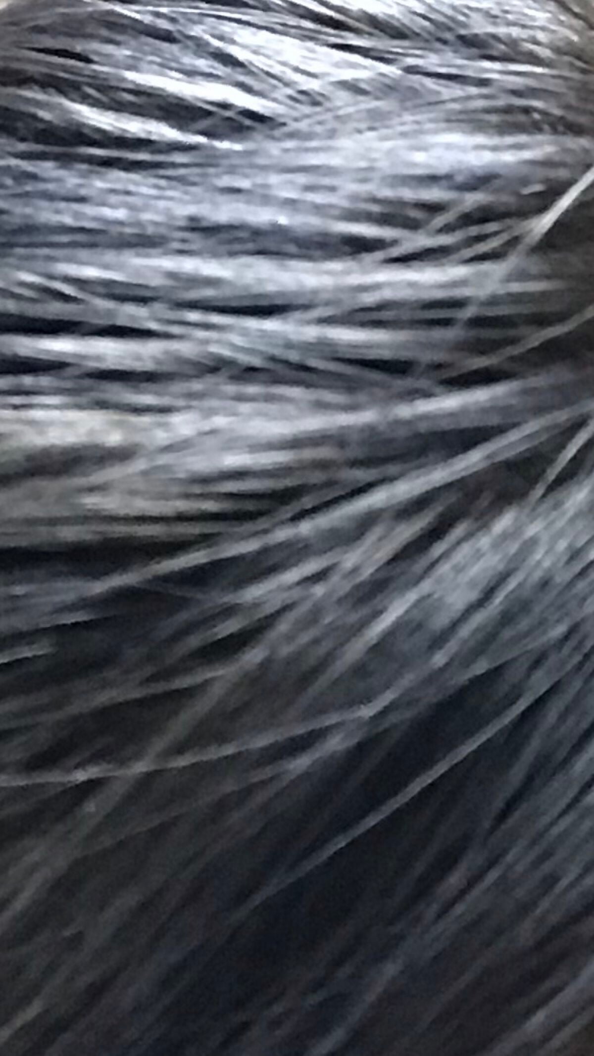 メイクアップカラー/ビューティーン/ヘアカラーを使ったクチコミ(1枚目)