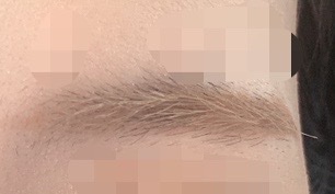 ハンオールブロウカラ/rom&nd/眉マスカラを使ったクチコミ（3枚目）