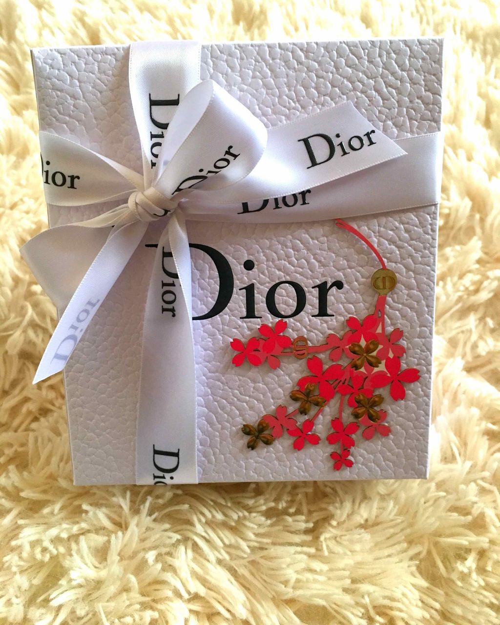 ディオール アディクト ラッカー プランプ/Dior/リップグロスを使ったクチコミ（2枚目）