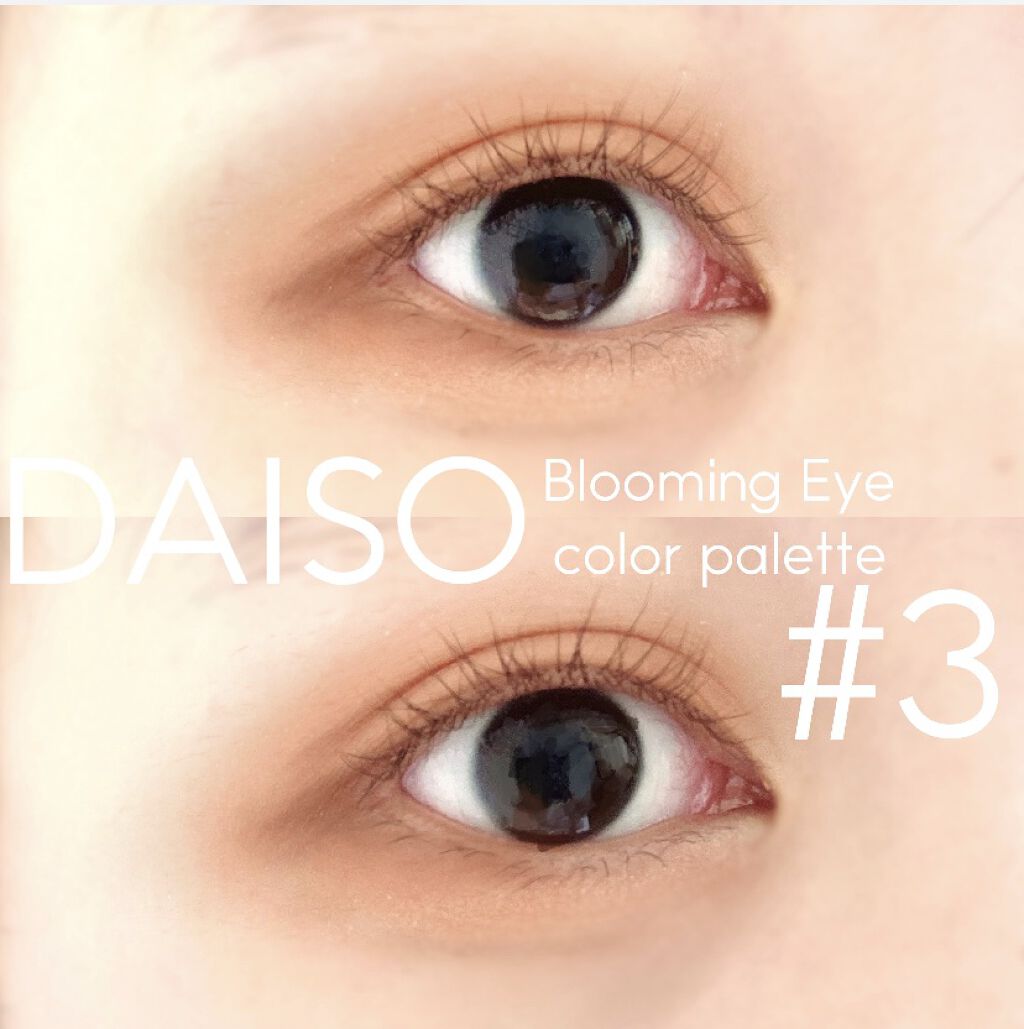 プロ アイ パレット/CLIO/アイシャドウパレットを使ったクチコミ（3枚目）