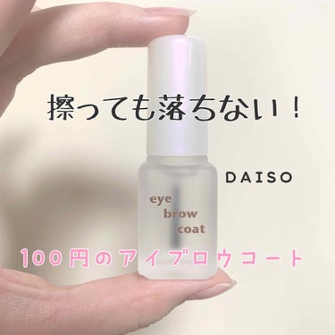 エバビレーナ アイブローコート/DAISO/アイブロウコートを使ったクチコミ（1枚目）