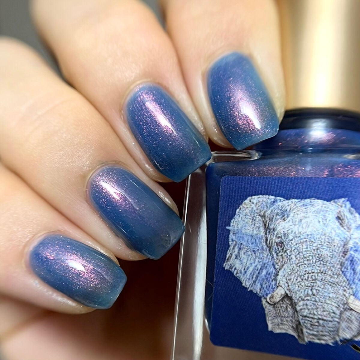 ネイルエス/ nail S(ネイルエス) /マニキュアを使ったクチコミ(1枚目)