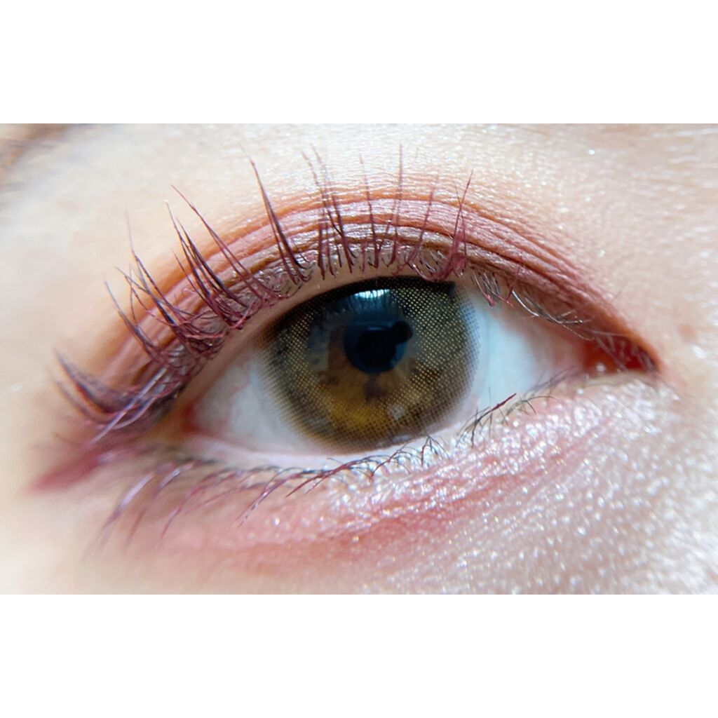 グロッシーリッチ アイズ N/Visée/アイシャドウパレットを使ったクチコミ(3枚目)