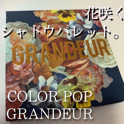 シャドウパレット ColourPop/ColourPop/アイシャドウパレットを使ったクチコミ(1枚目)