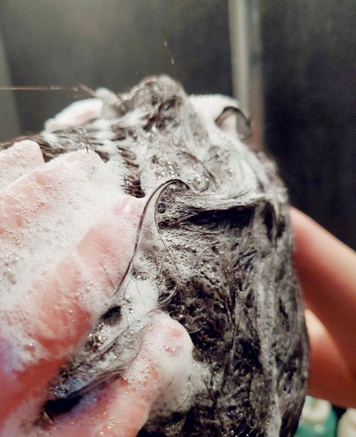 ザマイルド/メリット/市販シャンプーを使ったクチコミ（3枚目）