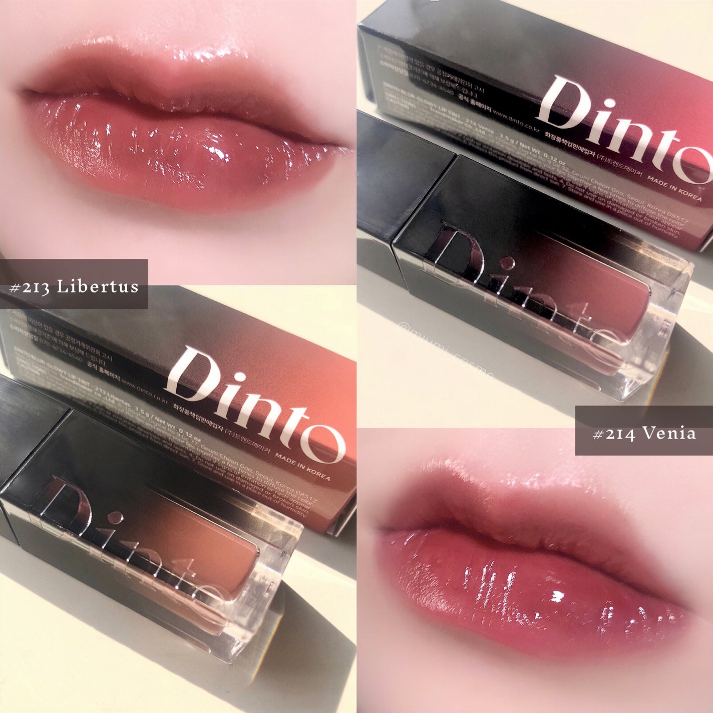 ブラーグロイリップティント/Dinto/リップティントを使ったクチコミ(1枚目)